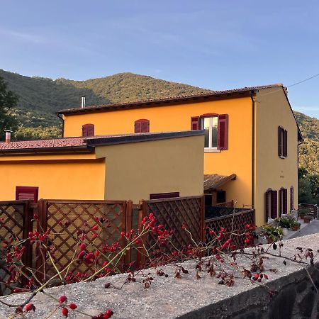 B&B La Fucinaia Pet Friendly Adults Only Campiglia Marittima Eksteriør billede