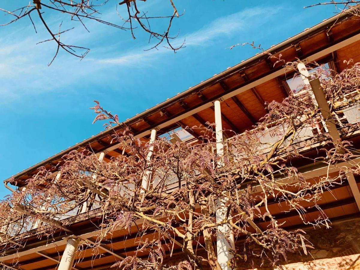 B&B La Fucinaia Pet Friendly Adults Only Campiglia Marittima Eksteriør billede