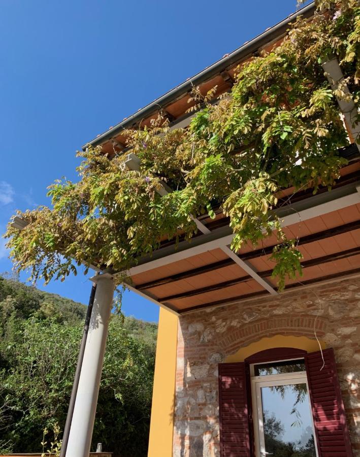 B&B La Fucinaia Pet Friendly Adults Only Campiglia Marittima Eksteriør billede