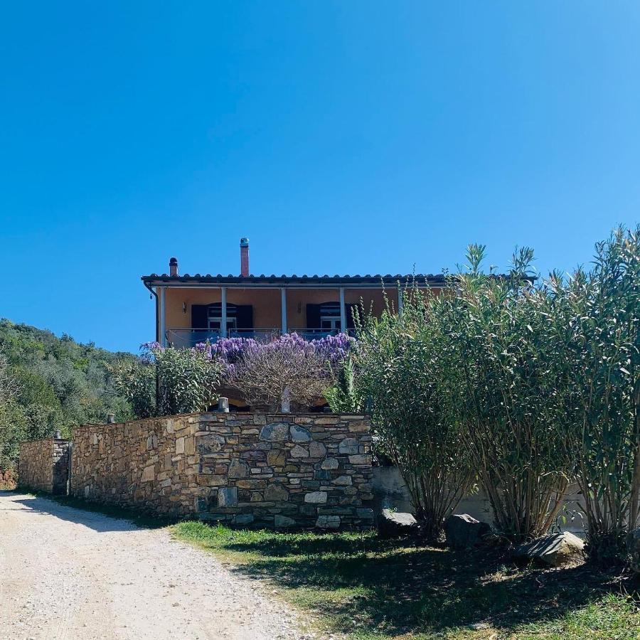 B&B La Fucinaia Pet Friendly Adults Only Campiglia Marittima Eksteriør billede