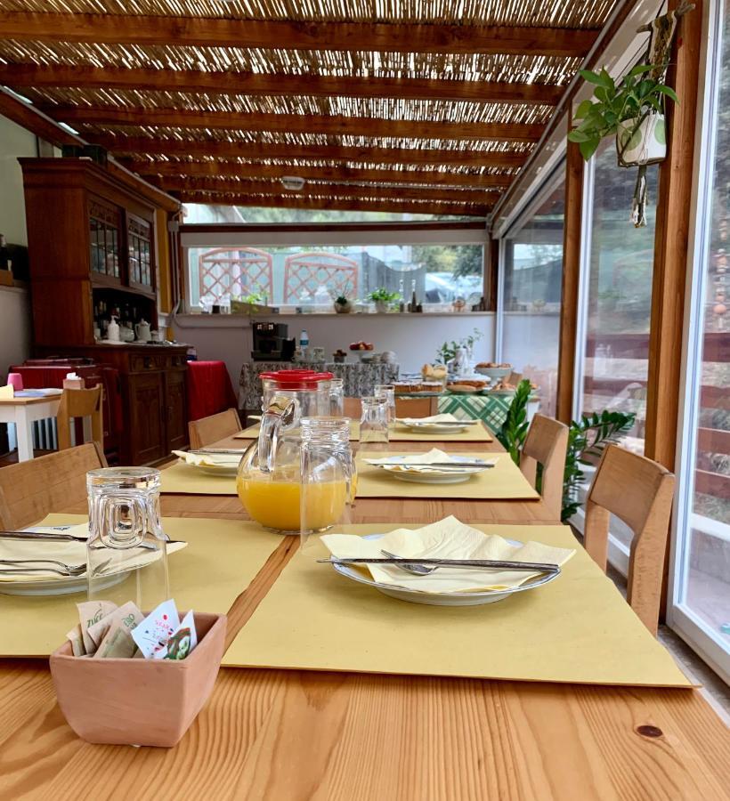 B&B La Fucinaia Pet Friendly Adults Only Campiglia Marittima Eksteriør billede