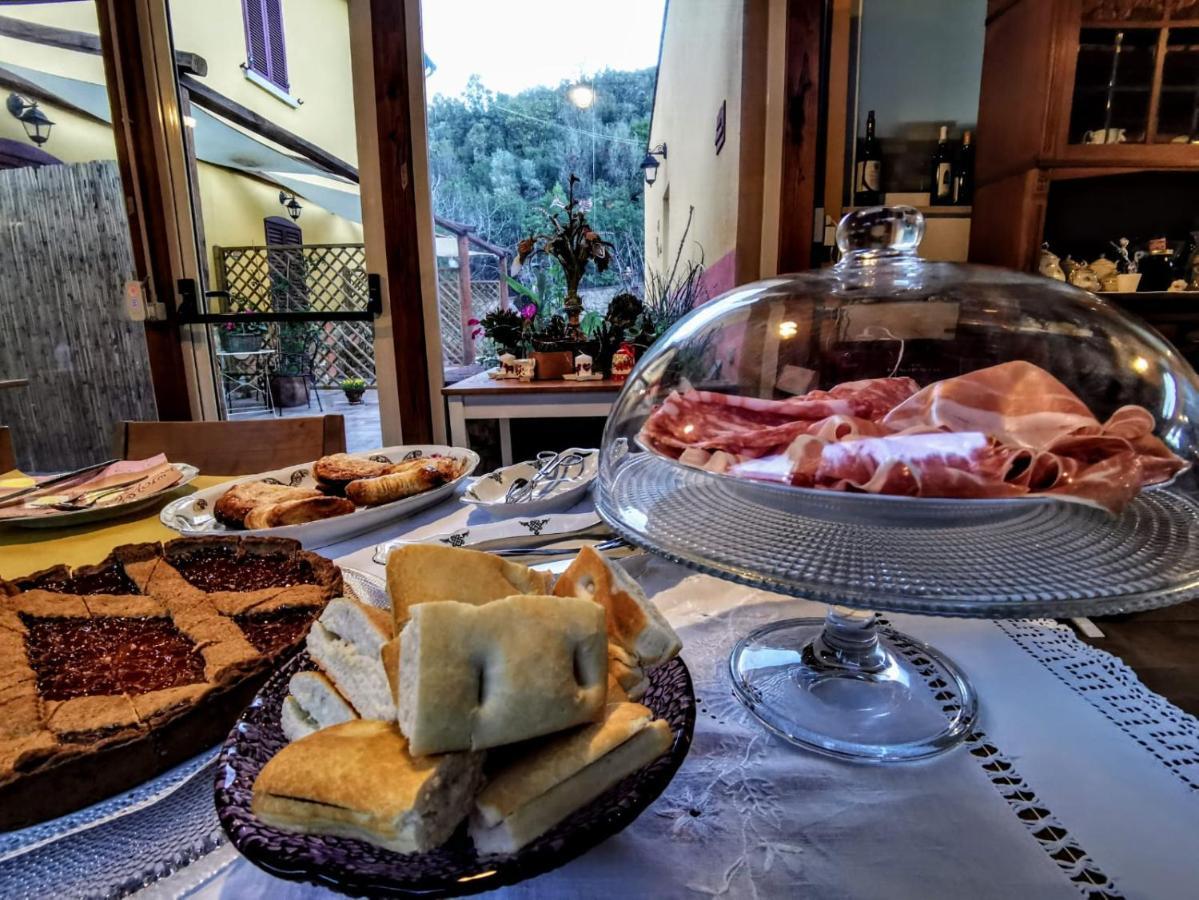 B&B La Fucinaia Pet Friendly Adults Only Campiglia Marittima Eksteriør billede