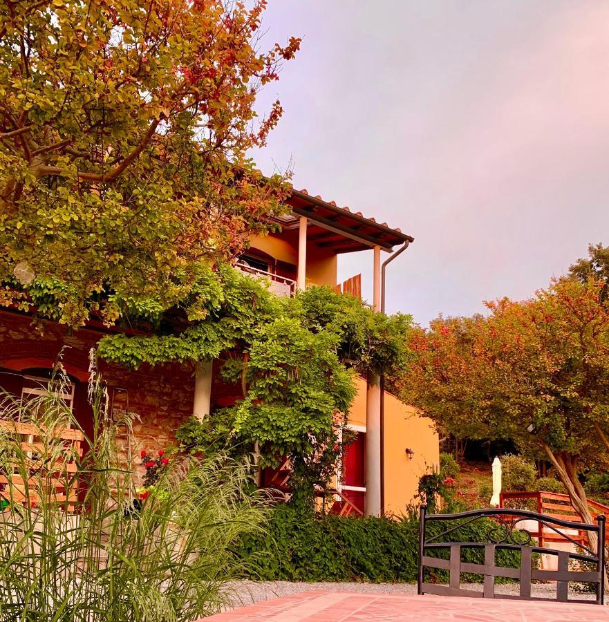 B&B La Fucinaia Pet Friendly Adults Only Campiglia Marittima Eksteriør billede