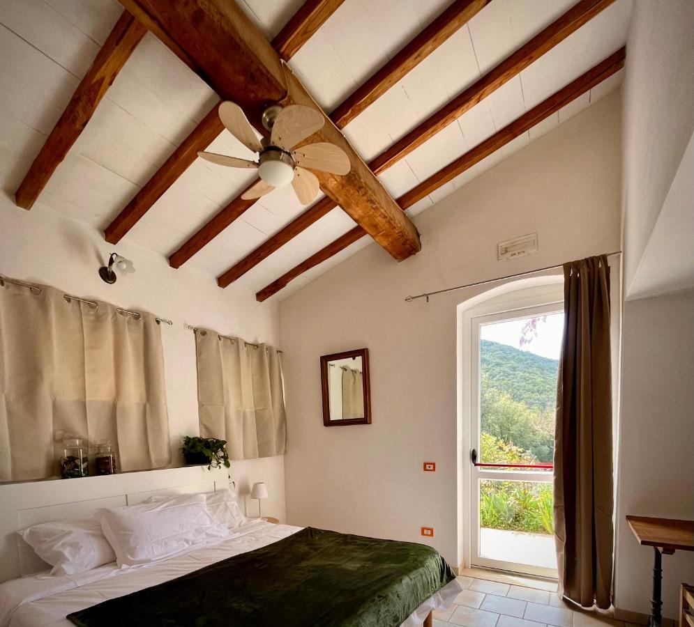B&B La Fucinaia Pet Friendly Adults Only Campiglia Marittima Eksteriør billede