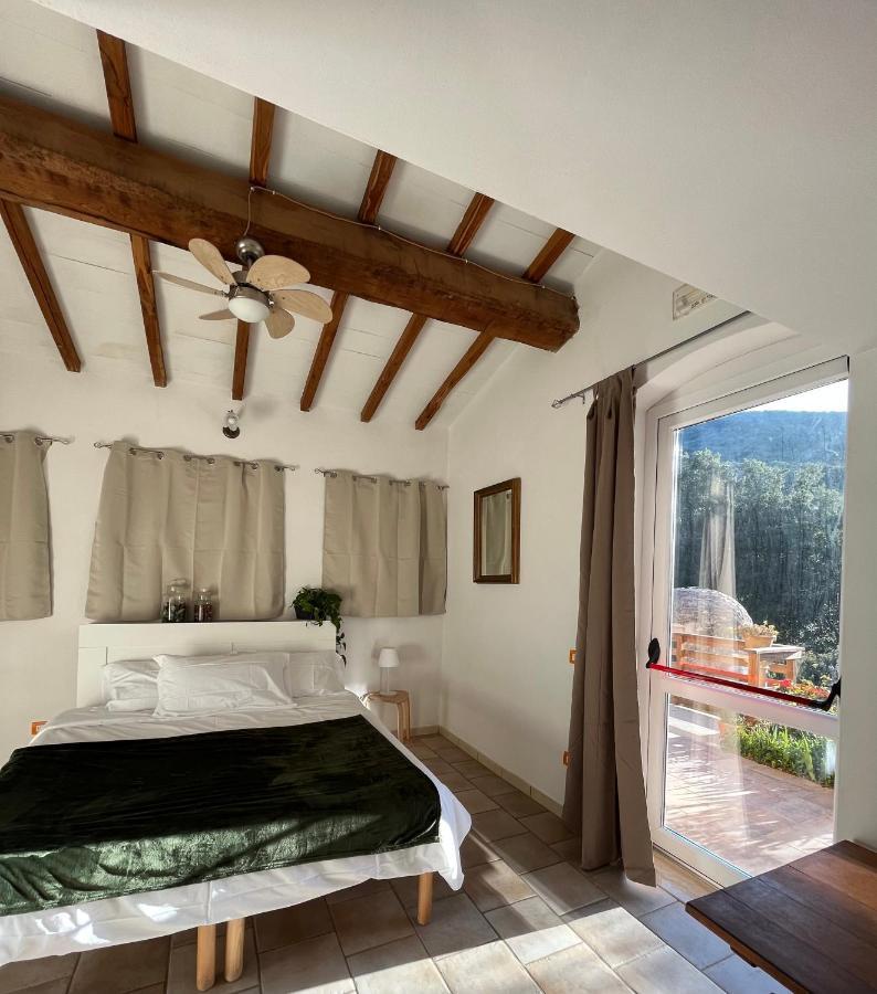 B&B La Fucinaia Pet Friendly Adults Only Campiglia Marittima Eksteriør billede