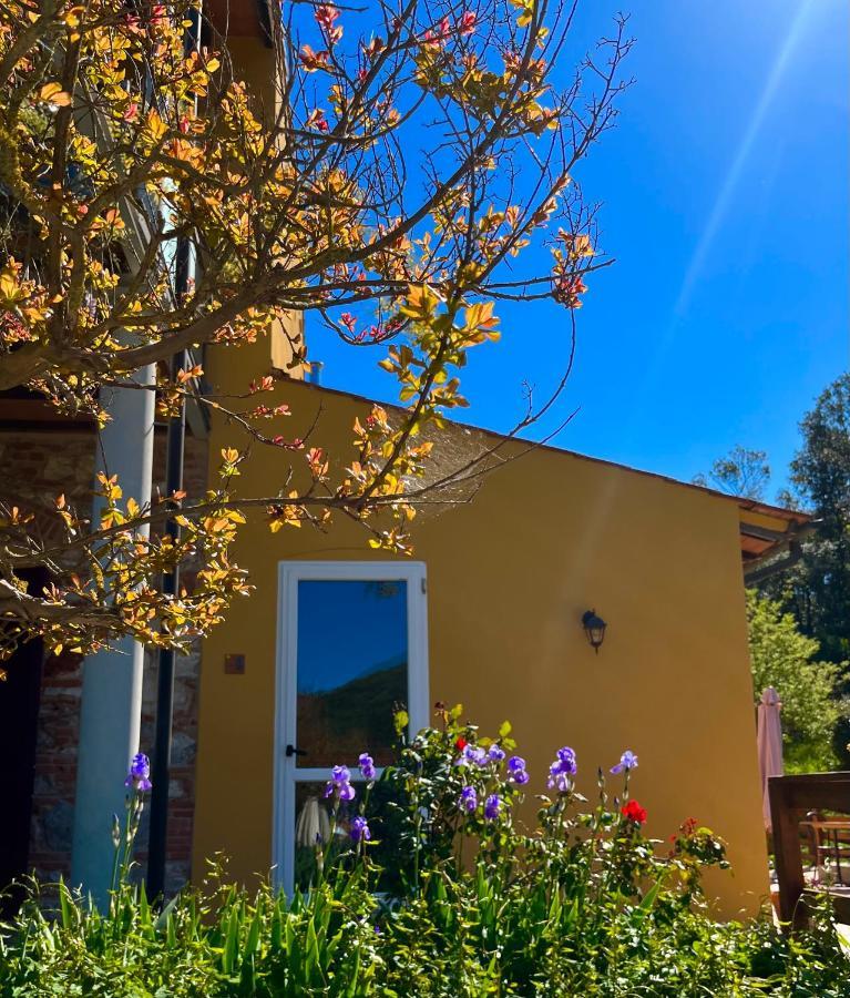 B&B La Fucinaia Pet Friendly Adults Only Campiglia Marittima Eksteriør billede
