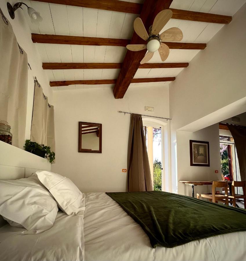 B&B La Fucinaia Pet Friendly Adults Only Campiglia Marittima Eksteriør billede