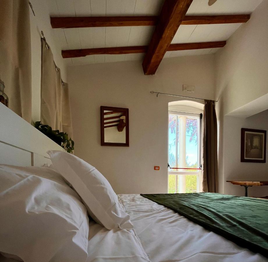 B&B La Fucinaia Pet Friendly Adults Only Campiglia Marittima Eksteriør billede