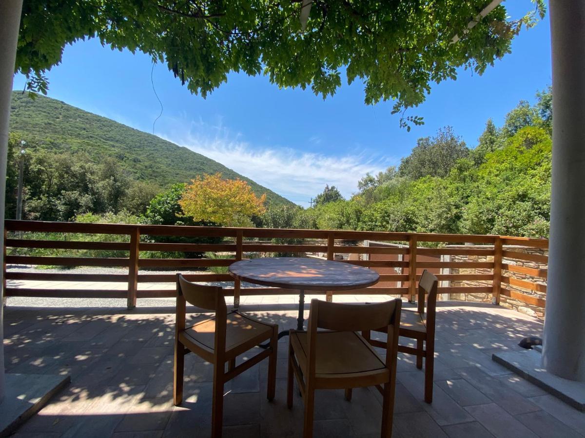 B&B La Fucinaia Pet Friendly Adults Only Campiglia Marittima Eksteriør billede