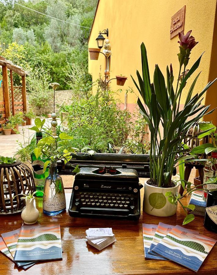 B&B La Fucinaia Pet Friendly Adults Only Campiglia Marittima Eksteriør billede