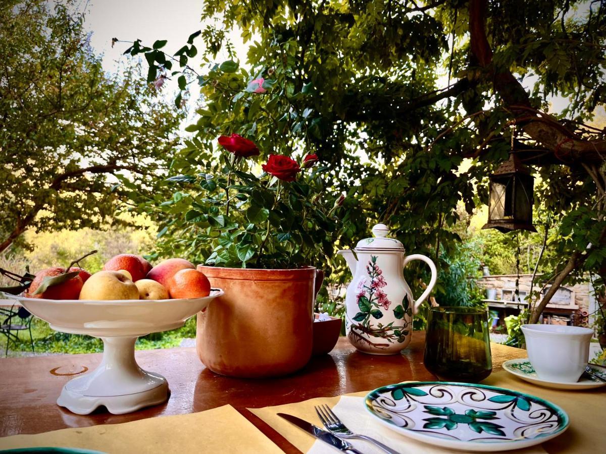 B&B La Fucinaia Pet Friendly Adults Only Campiglia Marittima Eksteriør billede