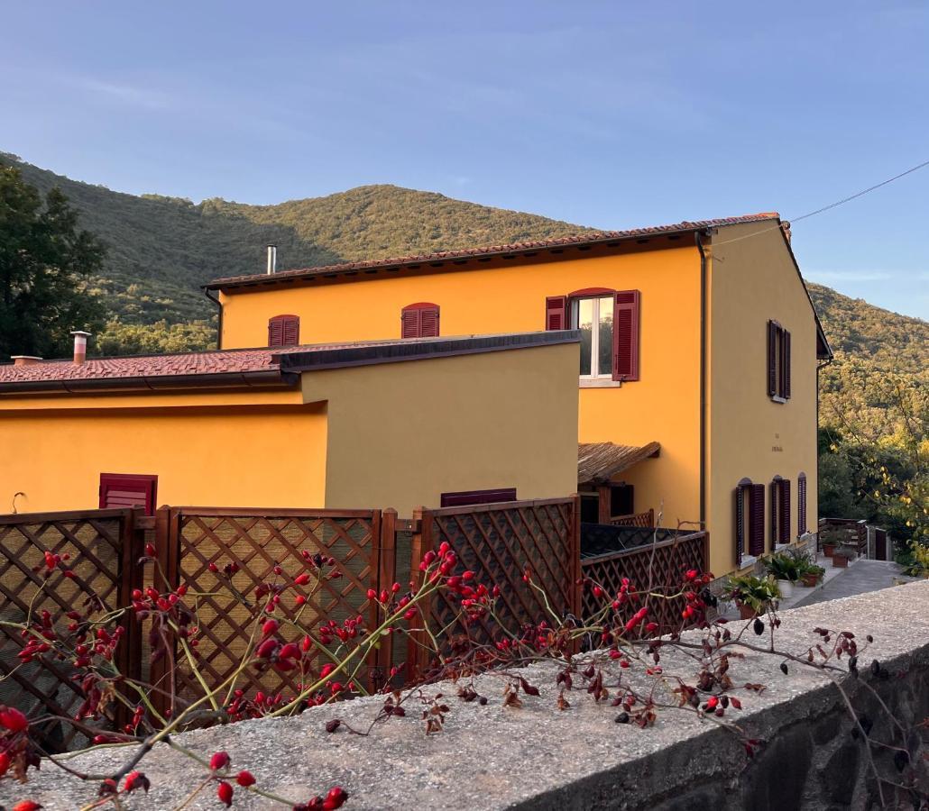 B&B La Fucinaia Pet Friendly Adults Only Campiglia Marittima Eksteriør billede