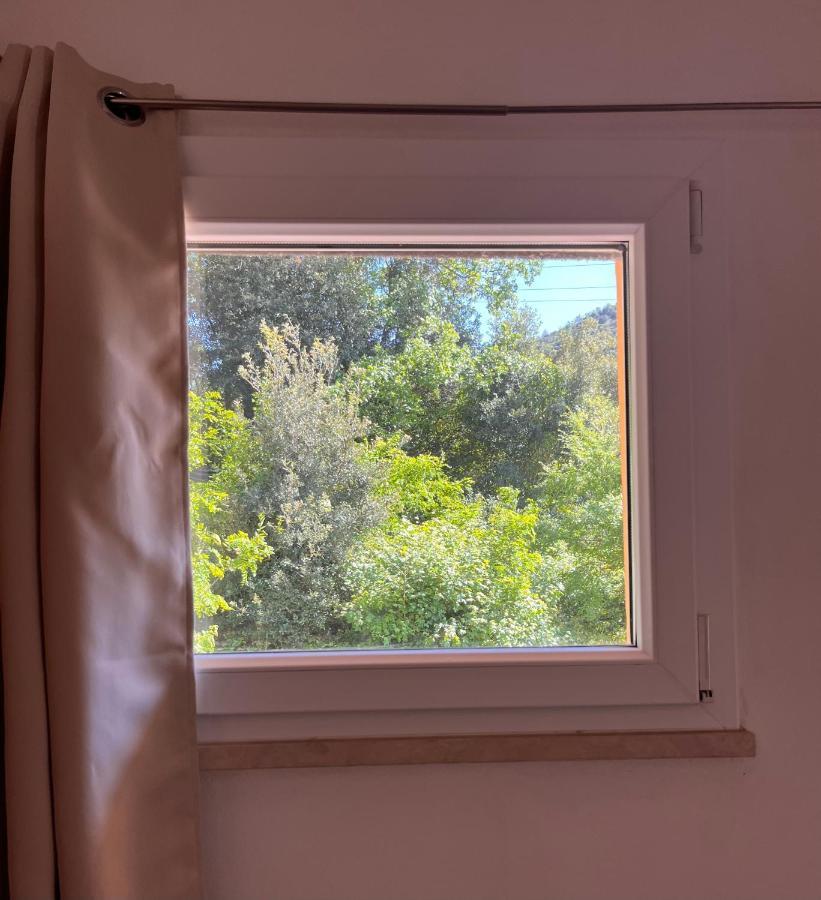 B&B La Fucinaia Pet Friendly Adults Only Campiglia Marittima Eksteriør billede