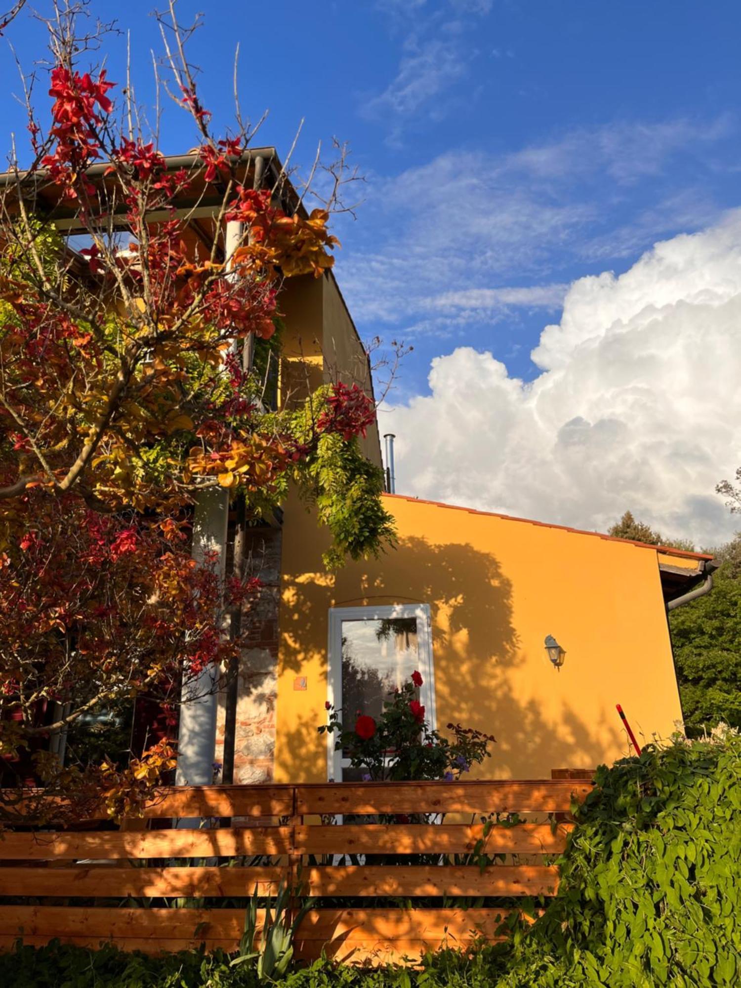 B&B La Fucinaia Pet Friendly Adults Only Campiglia Marittima Eksteriør billede