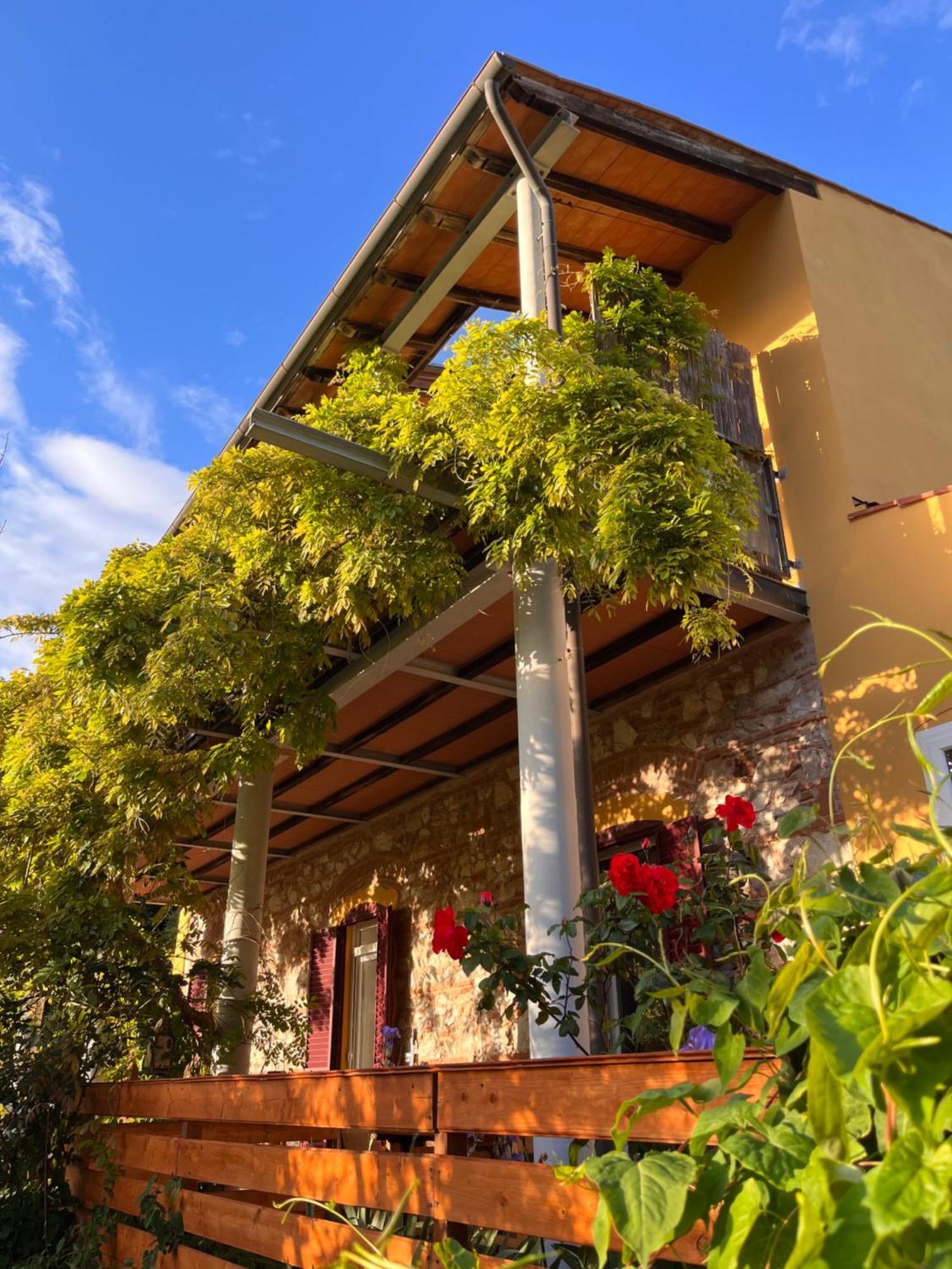 B&B La Fucinaia Pet Friendly Adults Only Campiglia Marittima Eksteriør billede