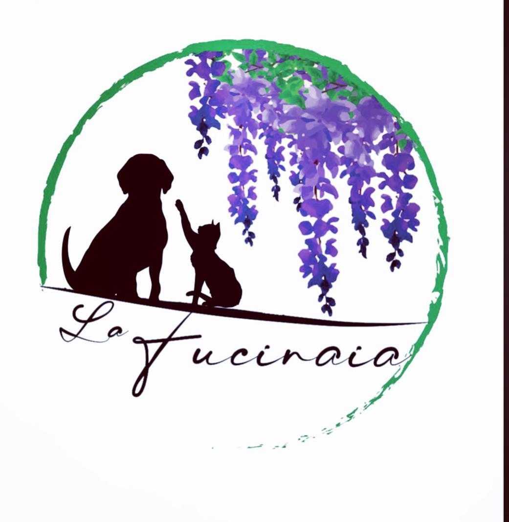 B&B La Fucinaia Pet Friendly Adults Only Campiglia Marittima Eksteriør billede