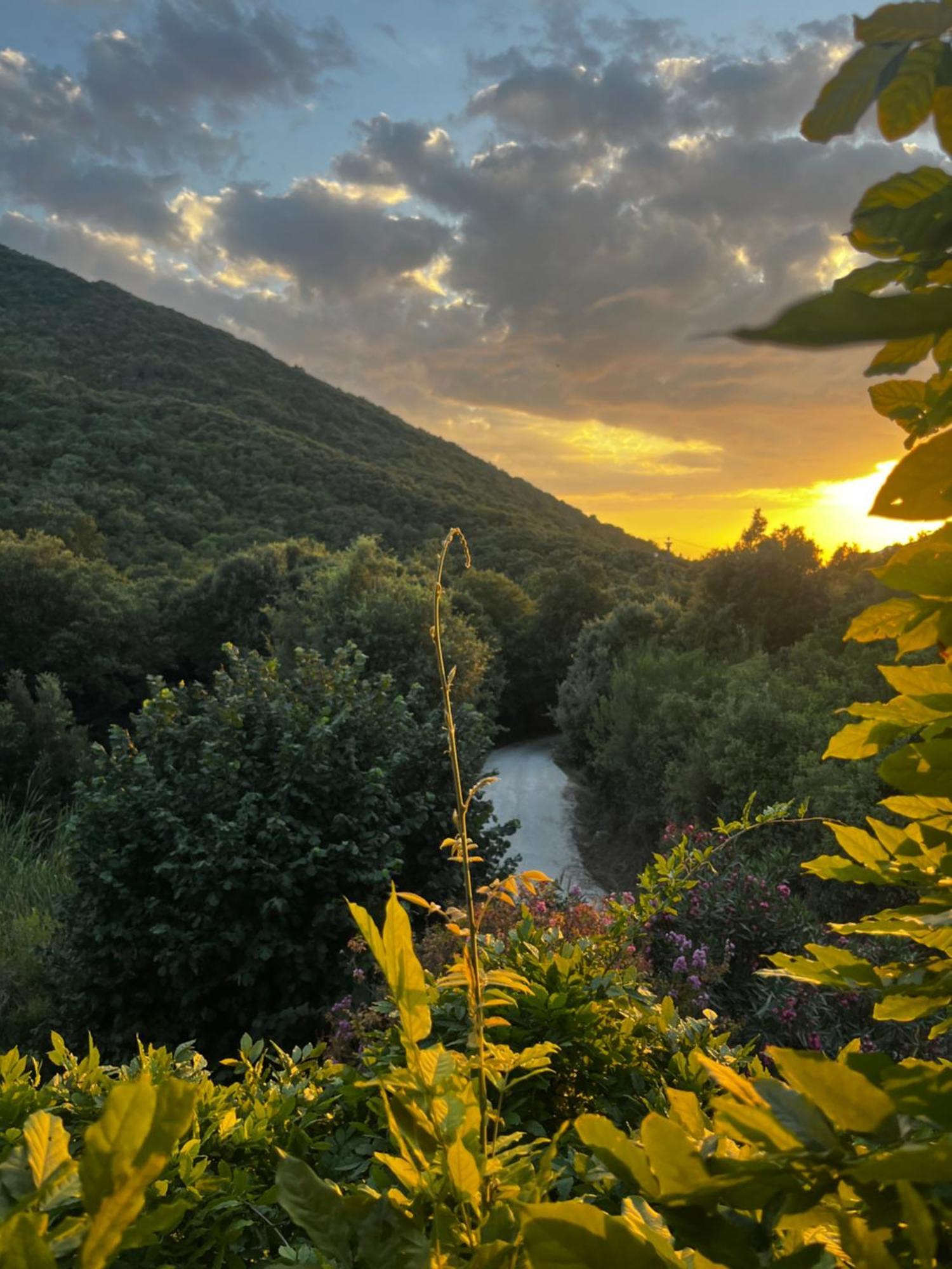 B&B La Fucinaia Pet Friendly Adults Only Campiglia Marittima Eksteriør billede