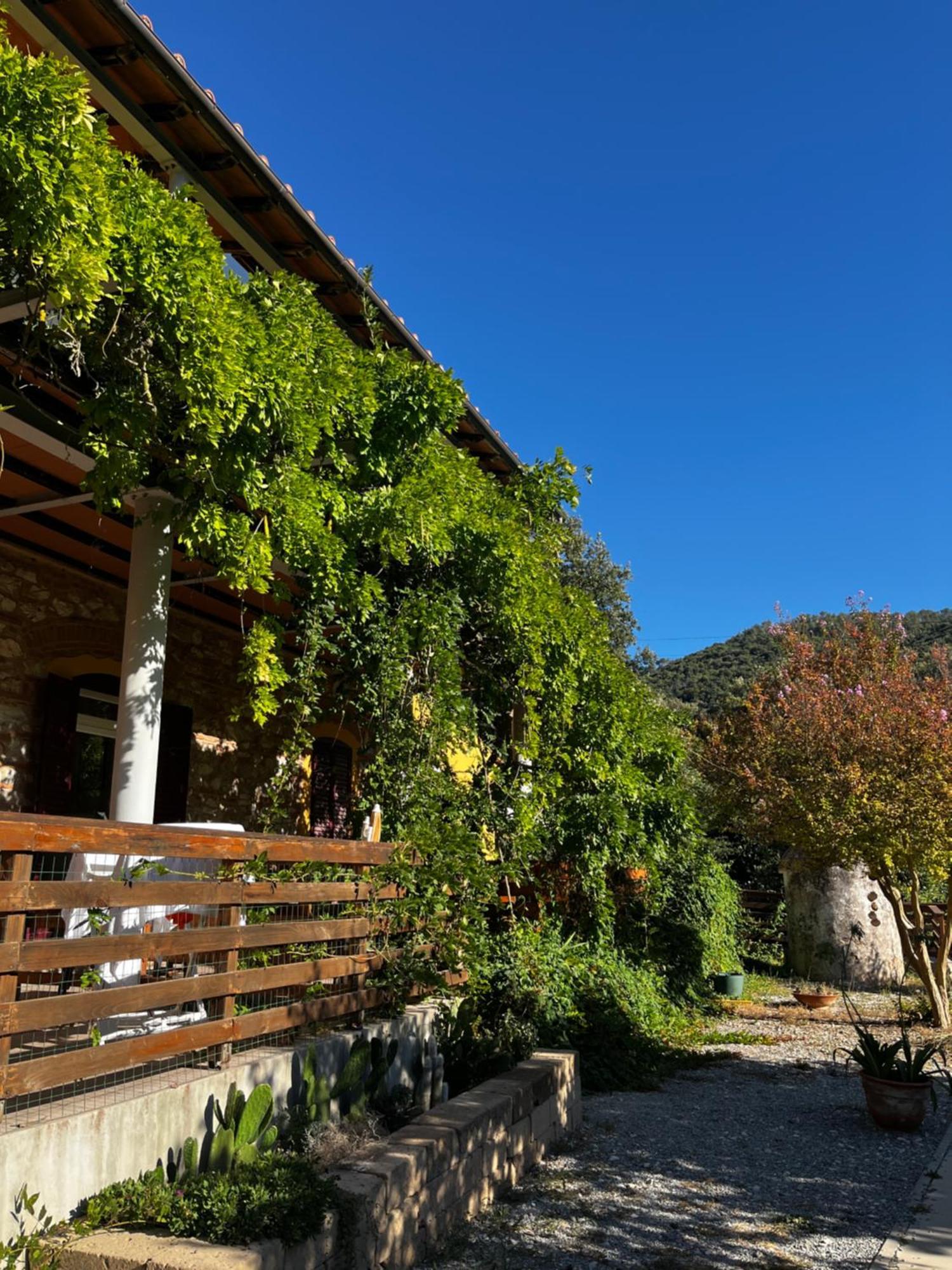 B&B La Fucinaia Pet Friendly Adults Only Campiglia Marittima Eksteriør billede