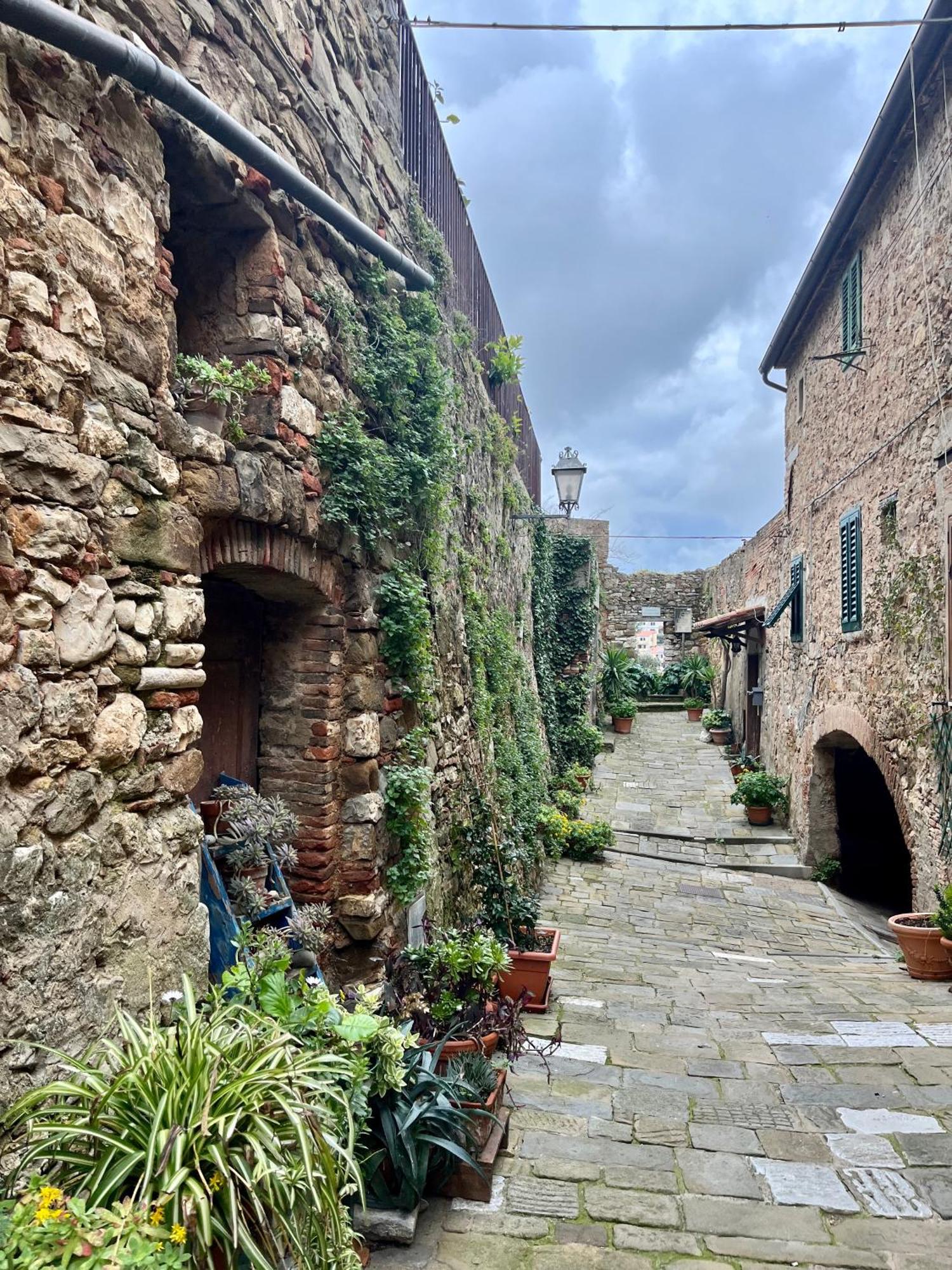 B&B La Fucinaia Pet Friendly Adults Only Campiglia Marittima Eksteriør billede