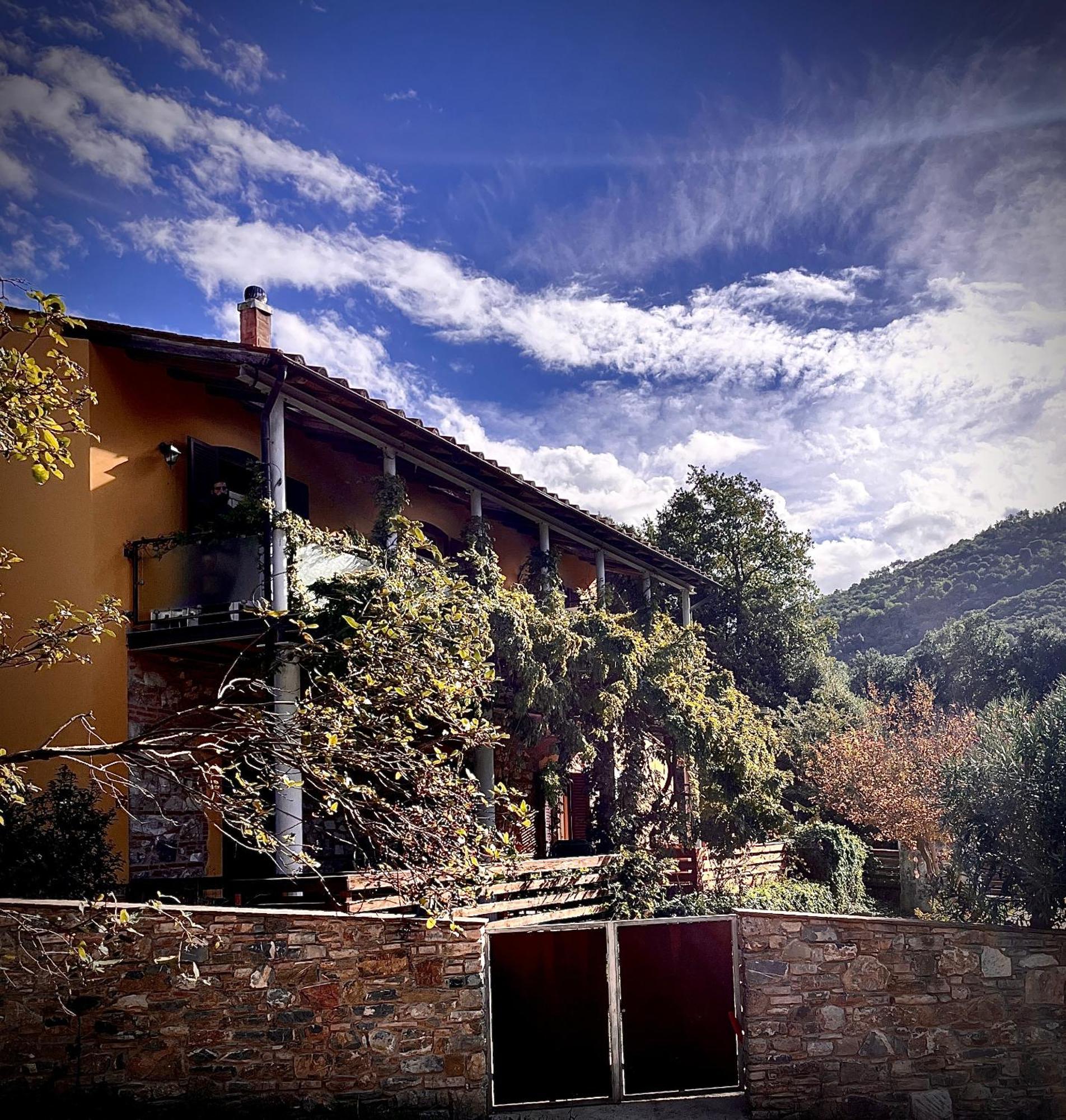 B&B La Fucinaia Pet Friendly Adults Only Campiglia Marittima Eksteriør billede