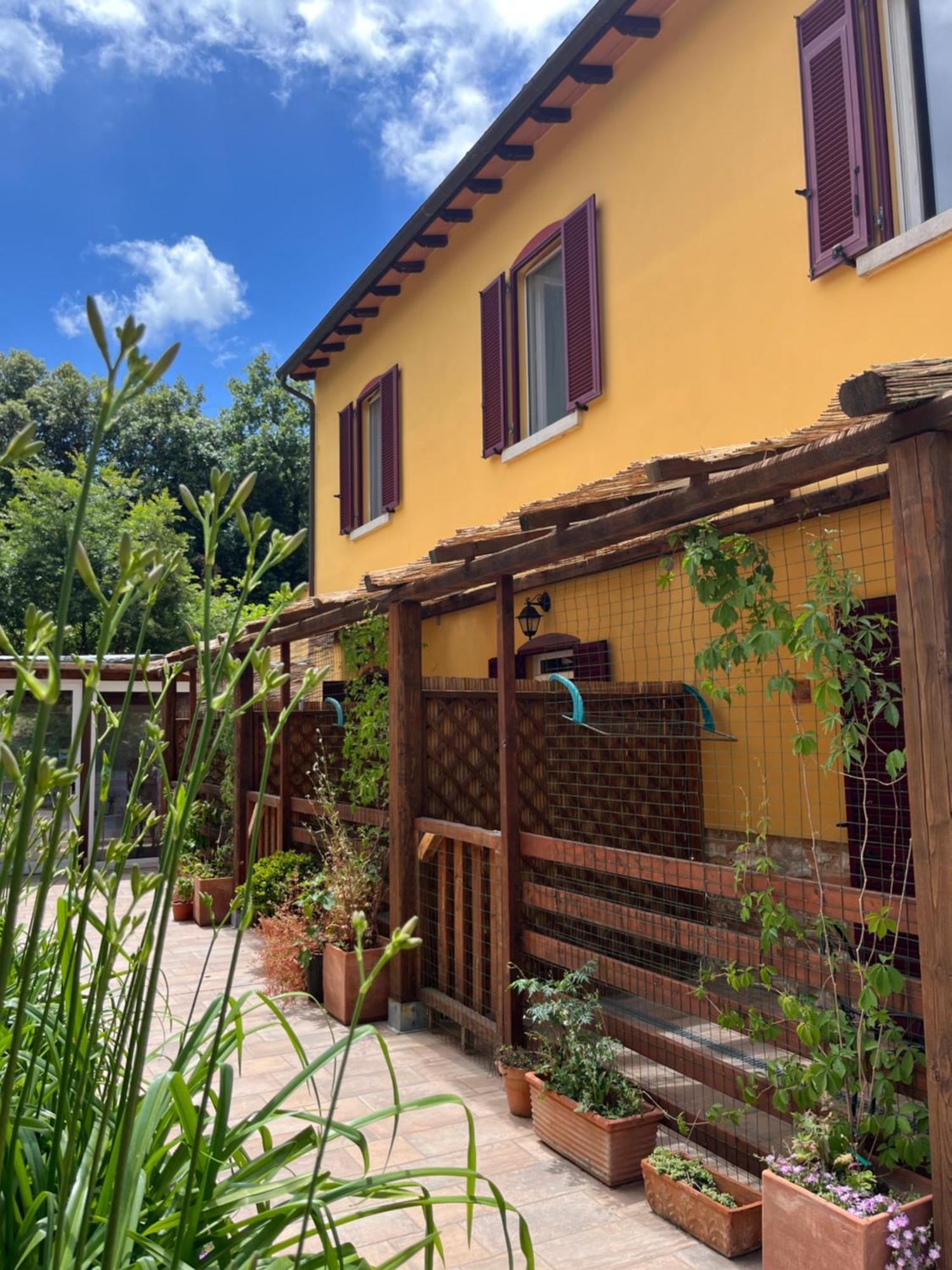 B&B La Fucinaia Pet Friendly Adults Only Campiglia Marittima Eksteriør billede