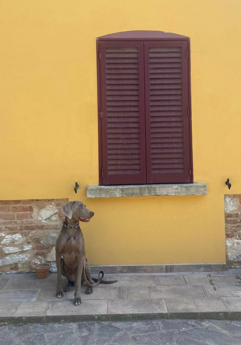 B&B La Fucinaia Pet Friendly Adults Only Campiglia Marittima Eksteriør billede
