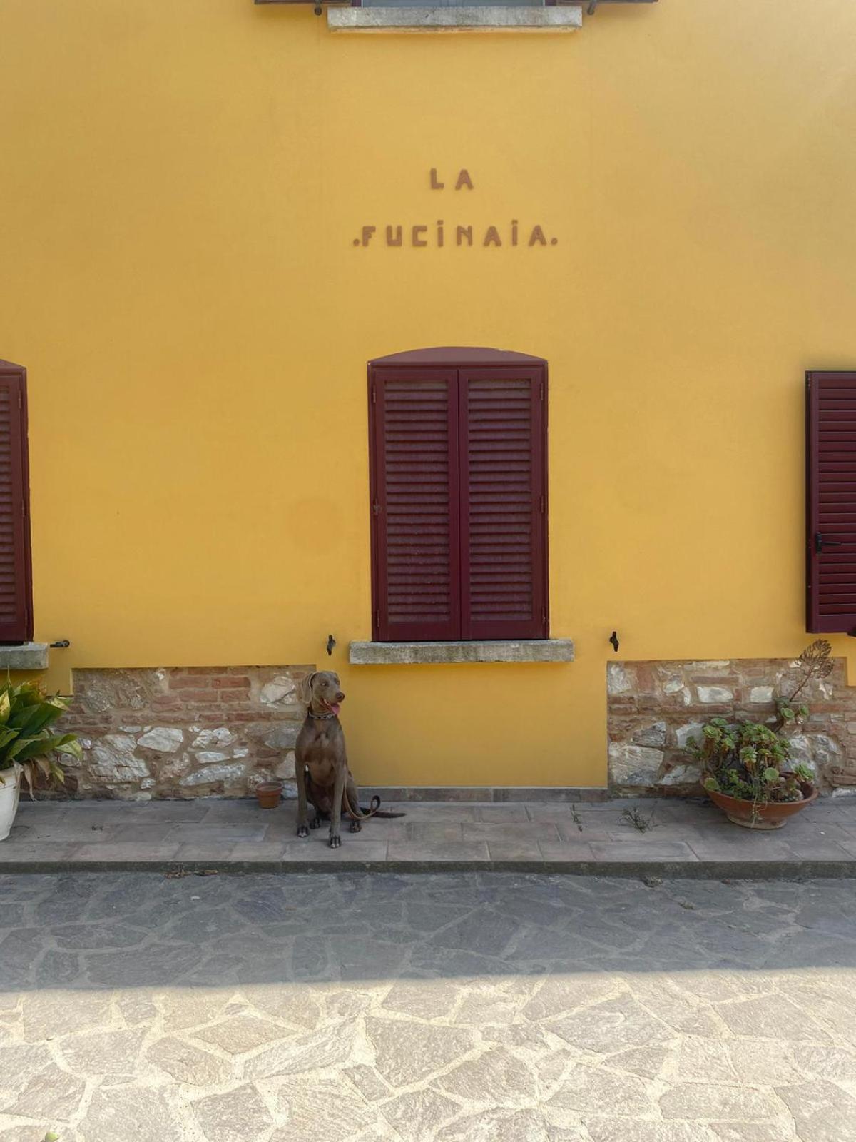B&B La Fucinaia Pet Friendly Adults Only Campiglia Marittima Eksteriør billede
