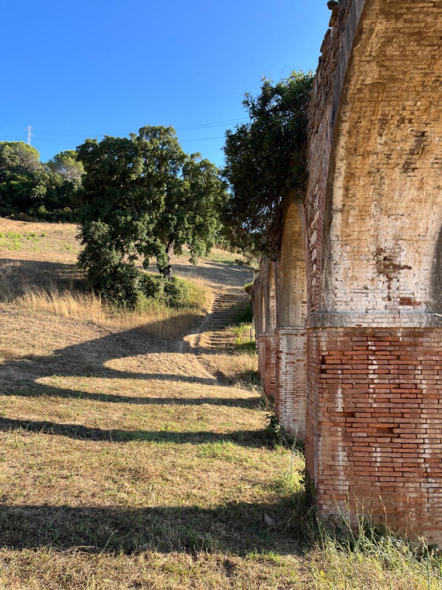 B&B La Fucinaia Pet Friendly Adults Only Campiglia Marittima Eksteriør billede